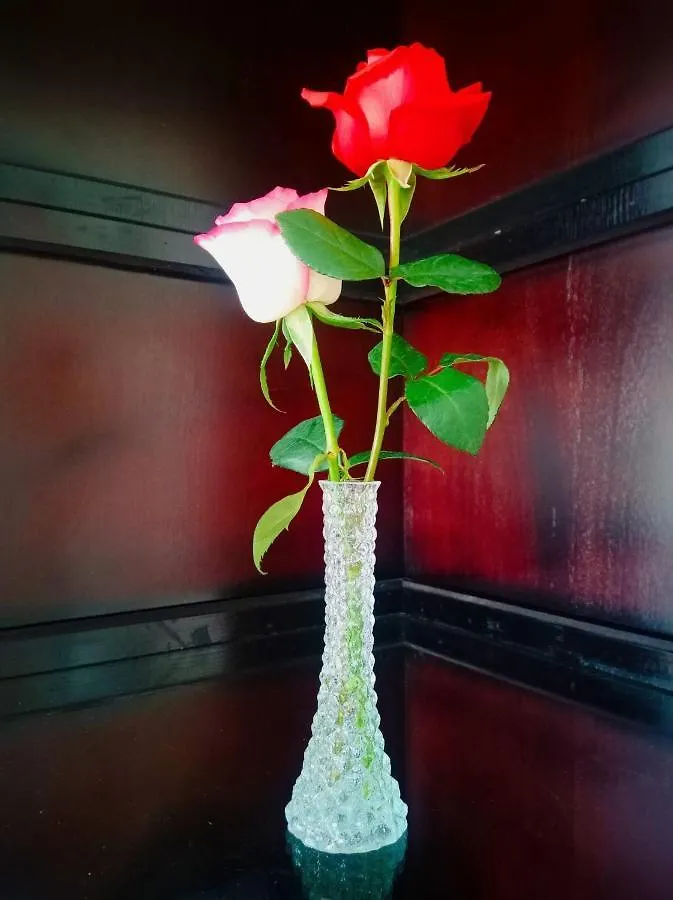Diamond Special Hotel Vung Tau