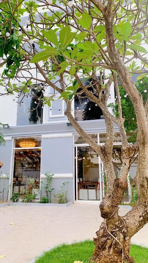 Diamond Special Hotel Vung Tau
